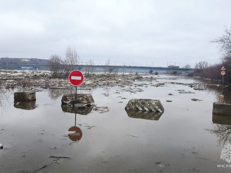 Роспотребнадзор посоветовал томичам из подтопленных территорий не использовать воду из реки