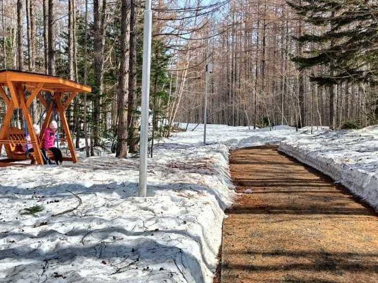 В янтарном парке Долинска появится лыжероллерная трасса