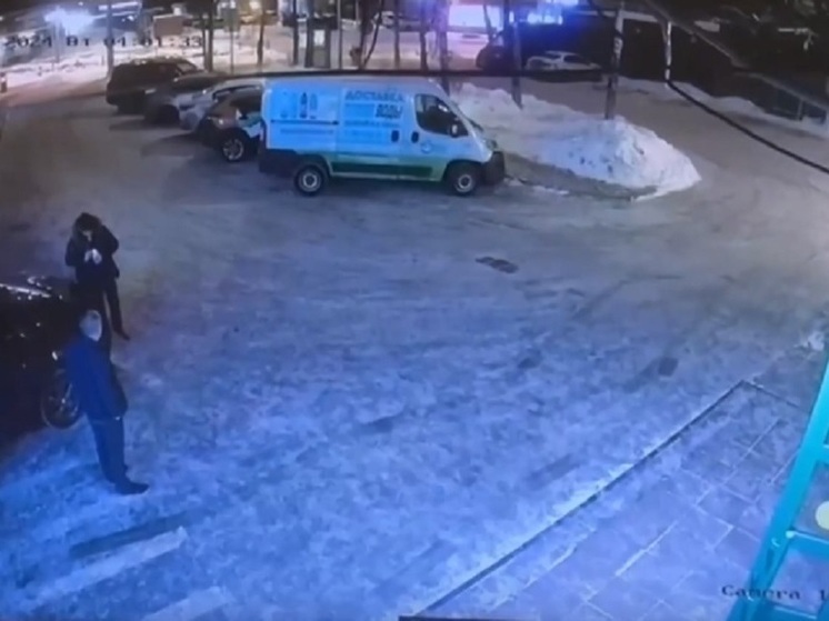 Ирина Волк: серийные грабители таксистов задержаны в Москве