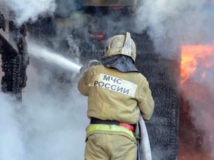 Из загоревшегося дома в Томской области самостоятельно эвакуировались 7 человек