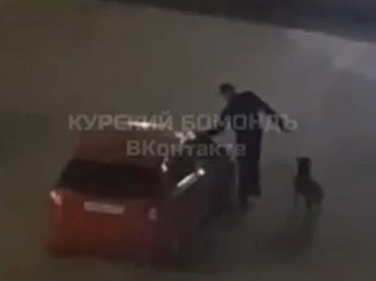 В Курске на улице Гагарина мужчина бил припаркованные автомобили