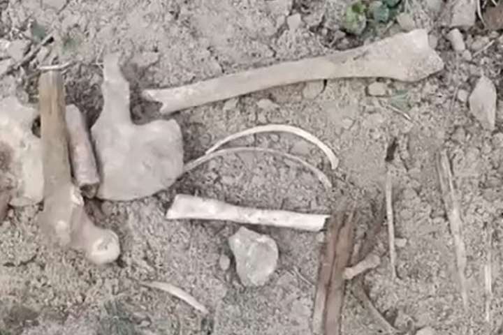 Костромская жуть: на детской площадке на улице Ткачей нашли человеческие кости