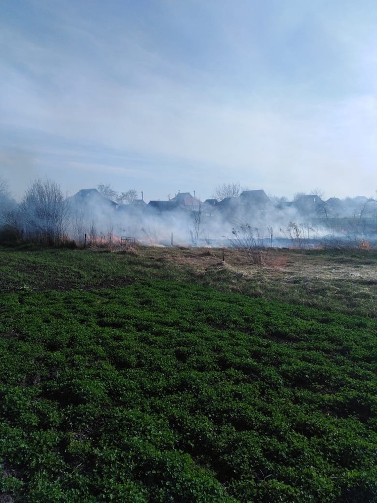 В двух районах Курской области потушили пожар сухостоя