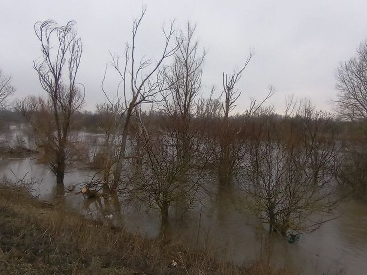 Из-за паводка в Саратовской области подтоплены три моста и три плотины