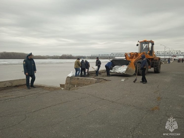 В Камне-на-Оби топит приусадебные участки в прибрежной зоне