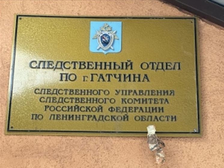 Жителя Гатчинского района подозревают в покушении на полицейского