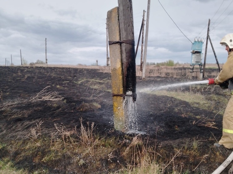 В Курской области из-за пала сухой травы загорелся деревянный столб ЛЭП