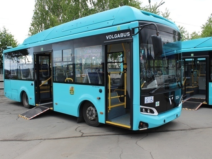 Новые автобусы могут исчезнуть из Петрозаводска летом