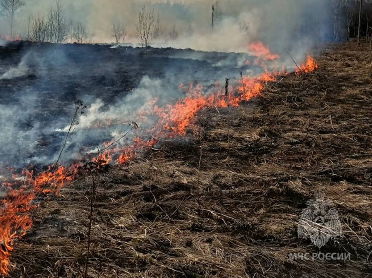 14 апреля в Ивановской области горела трава на площади 6250 квадратных метров