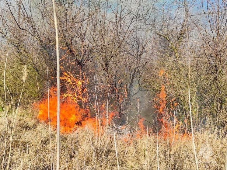 В Херсонской области введён пожароопасный сезон