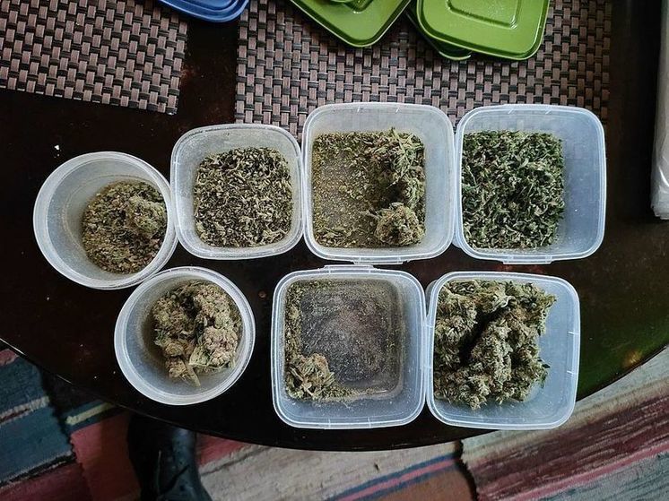 Полицейские изъяли у жителя рязанского села более 6 килограммов марихуаны