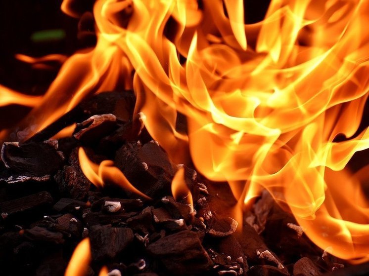 12 ландшафтных пожаров зарегистрировали в Псковской области