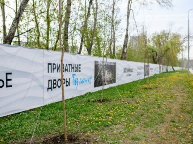 ГК «ЮгСтройИнвест» высадила 100 деревьев в областной день древонасаждения