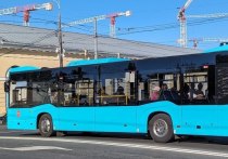 В Петербурге для удобства пассажиров переименовали остановки на 30 автобусных маршрутах, сообщил Котранс. Новые названия вводятся с 16 апреля.