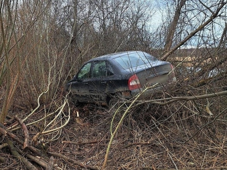 Костромские ДТП: в Галичском районе водитель ВАЗа ушел в кусты