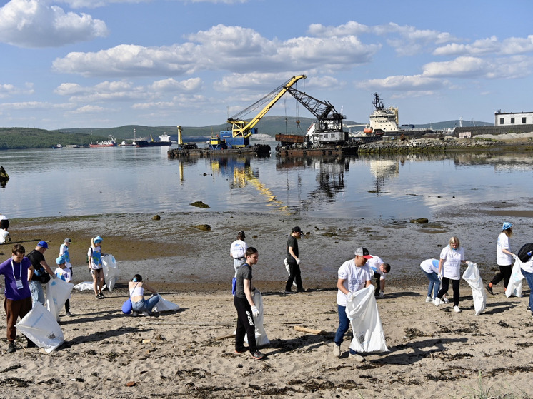 С 2019 года в Мурманской области расчистили более 240 км береговой полосы