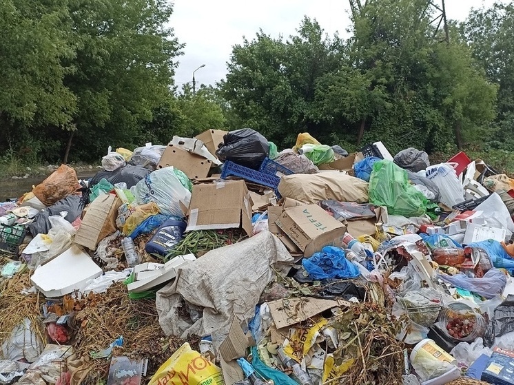 Шесть лет понадобится Минприроды ЛНР для ликвидации отходов на полигоне вблизи Лисичанска