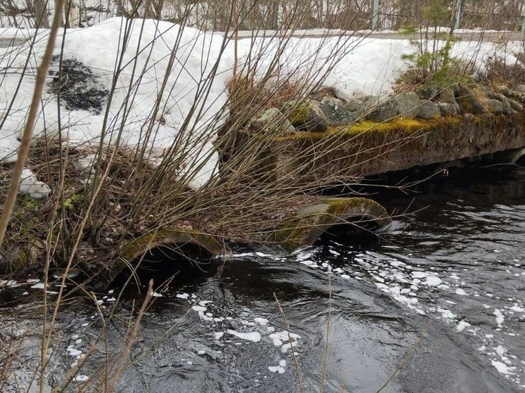 Уровень воды на Лососинке в Петрозаводске превысил метр