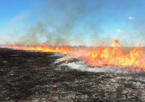 С начала пожароопасного сезона в республике зафиксировано 9 случаев сжигания сухой травы и 5 фактов сжигания мусора
