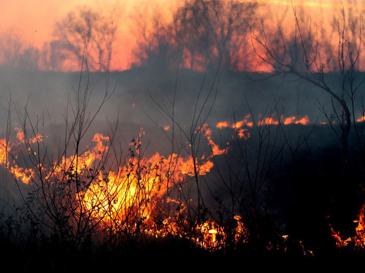 21 апреля в Ивановской области начнётся пожароопасный сезон