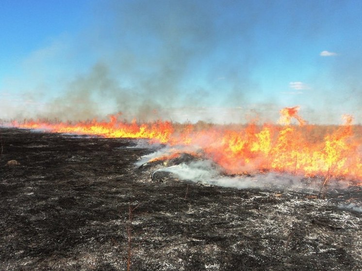 С начала пожароопасного сезона в республике зафиксировано 9 случаев сжигания сухой травы и 5 фактов сжигания мусора