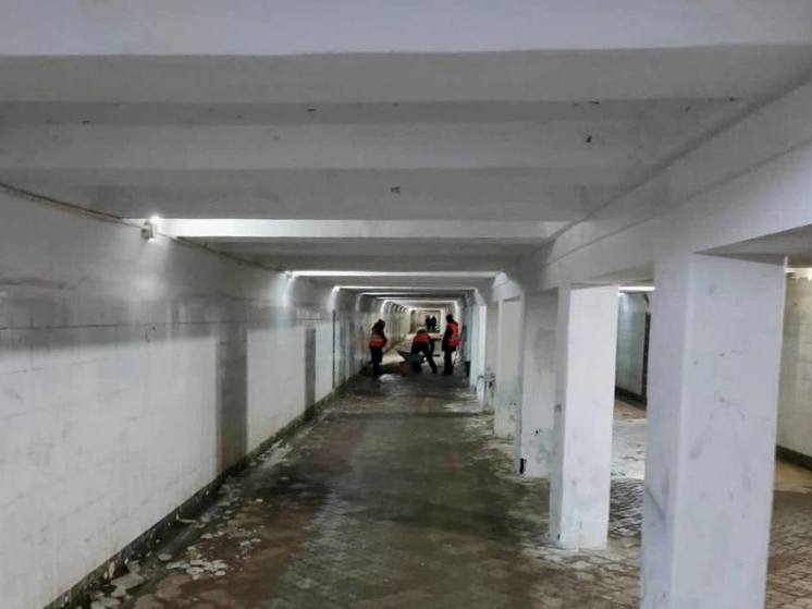 Два подземных перехода хотят отремонтировать в Нижнем Новгороде