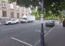 В зонах платной парковки Петербурга для маломобильных граждан и инвалидов появится около сотни дополнительных мест, сообщила пресс-служба Смольного.
