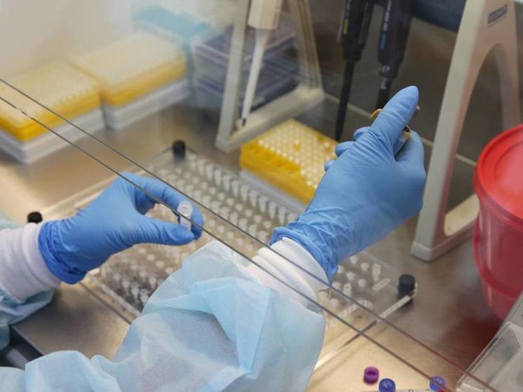 В ямальских лабораториях с начала пандемии провели 2,2 млн тестов на ковид
