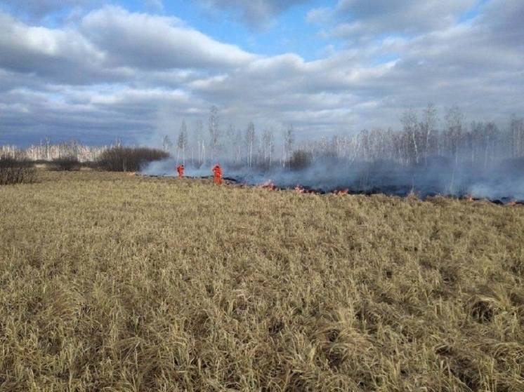 Глава Новосибирской области Андрей Травников подписал постановление о начале пожароопасного сезона