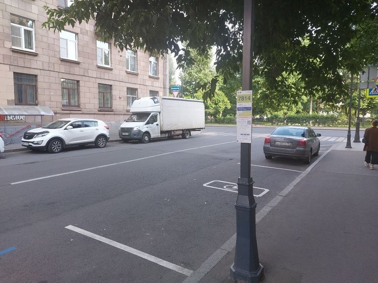 В Петербурге появится сотня новых мест для парковки инвалидов