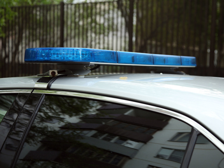 Сотрудники полиции, избившие мужчину на улице, будут уволены