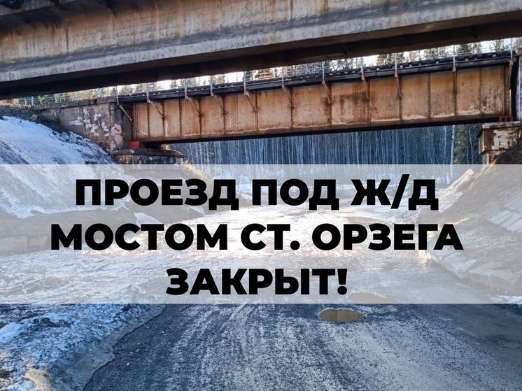 Власти Прионежского района закрыли проезд под мостом в Орзеге из-за разлива реки