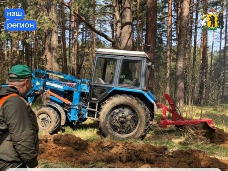 Ярославский губернатор уверен в готовности области к пожароопасному периоду