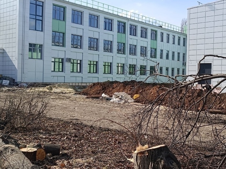 Четырнадцать учебных заведений восстановит “Единый заказчик” в ЛНР