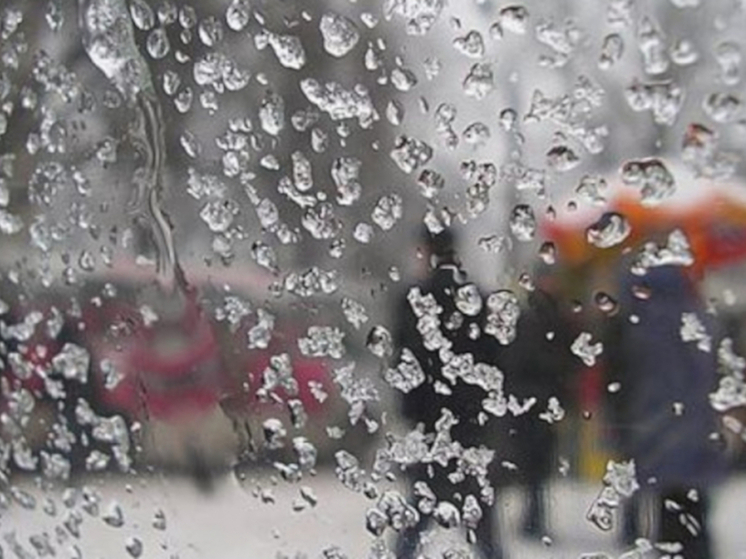 Дождь и мокрый снег ожидаются 16 апреля в Карелии
