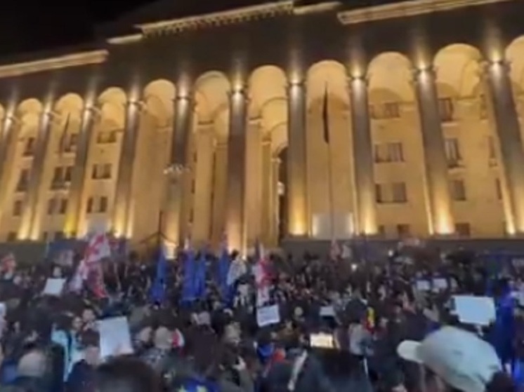 МВД Грузии: 14 человек задержаны в Тбилиси в ходе митинга против закона об иноагентах