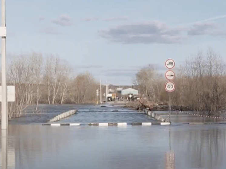 Уровень воды в реке Тобол достиг 734 сантиметров, вода пребывает дальше