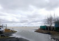 По состоянию на 8:00 16 апреля уровень воды в реке Обь в окрестностях Камня-на-Оби составил 717 см над нулем водомерного поста. Критическим значение считается 700 см.
