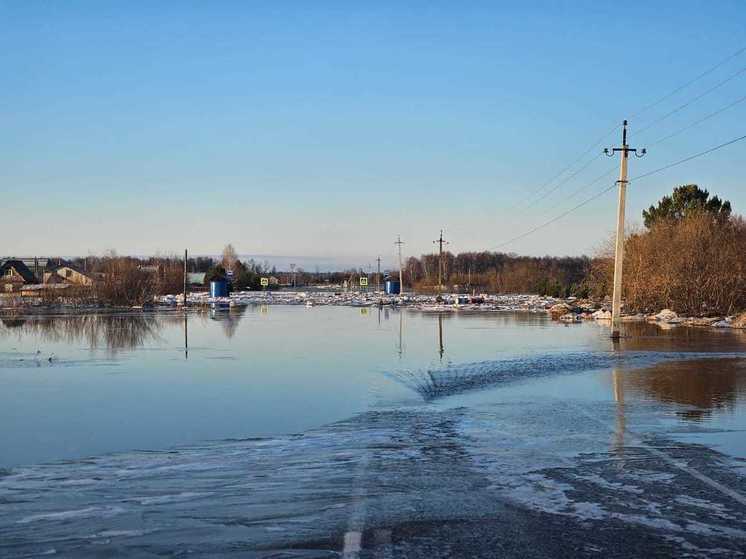 Уровень воды в Томи в районе Вершинино под Томском за ночь упал на 63 см