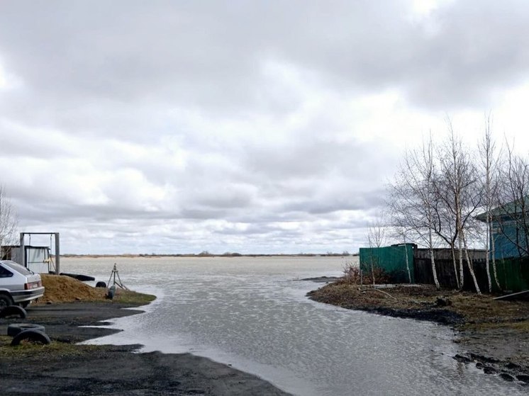 В Камне-на-Оби уровень воды в реке Обь превысил опасную отметку на 17 см
