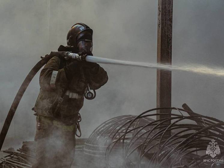 Приморский край в огне: борьба с природными пожарами в регионе продолжается
