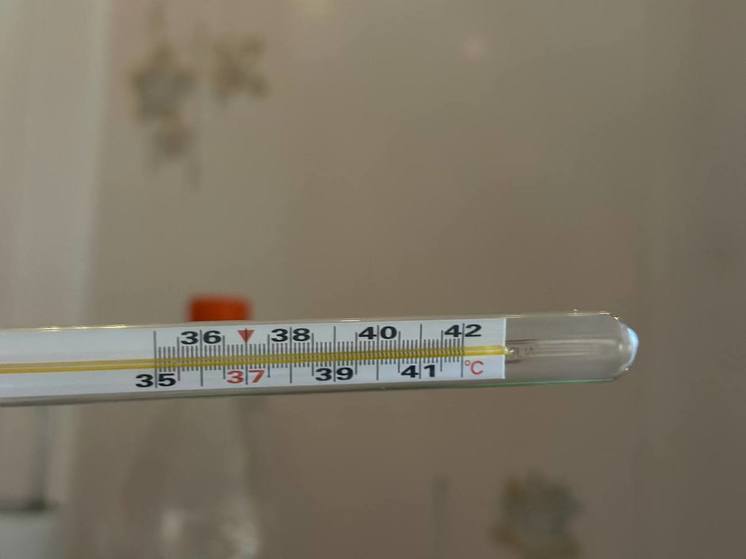 В Тульской области снизилась заболеваемость гриппом и ОРВИ