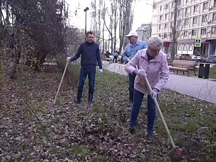 Глава Саратова граблями почистила сквер на 2-й Садовой