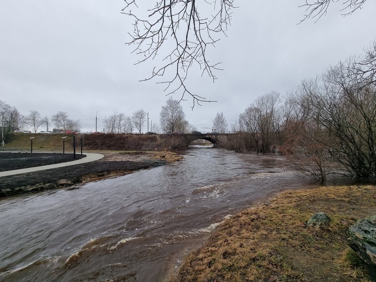 Река Лососинка затопила проход под мостом в центре Петрозаводска