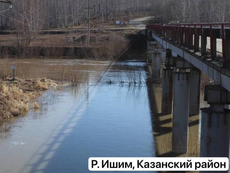 В реке Ишим уровень воды под Ильинкой достиг критического уровня
