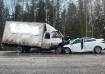 В столкновении легкового и грузового автомобилей на дороге в Марий Эл пострадали три человека, один из них скончался.