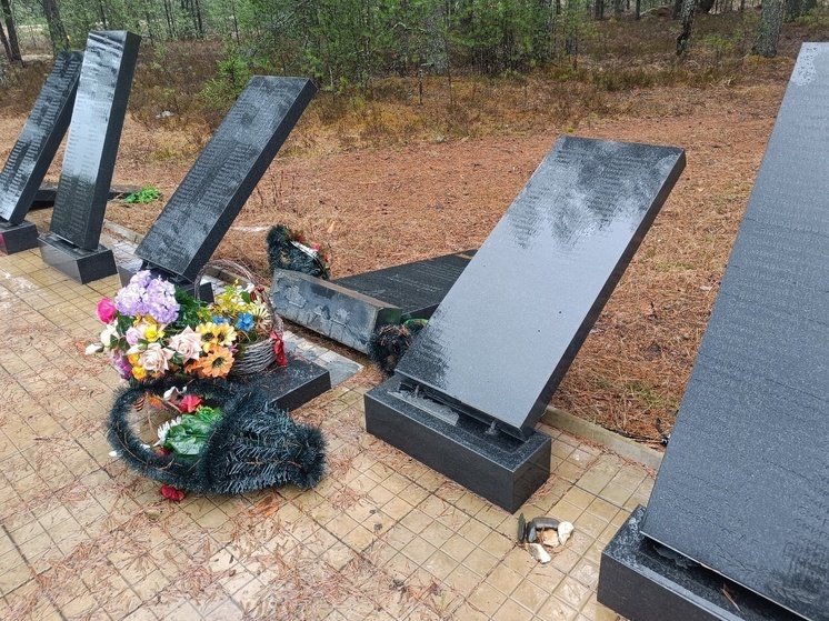 В ВК-группе «Подслушано Нея» вчера были опубликованы фото, сделанные на городском кладбище на мемориале в честь участников Великой Отечественной войны