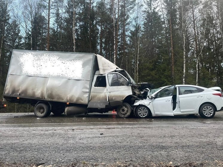 На Казанском тракте в Марий Эл столкнулись иномарка и грузовик, погиб пассажир