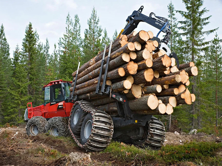 Кировская область стала лучшей в ПФО по налогам от лесной отрасли