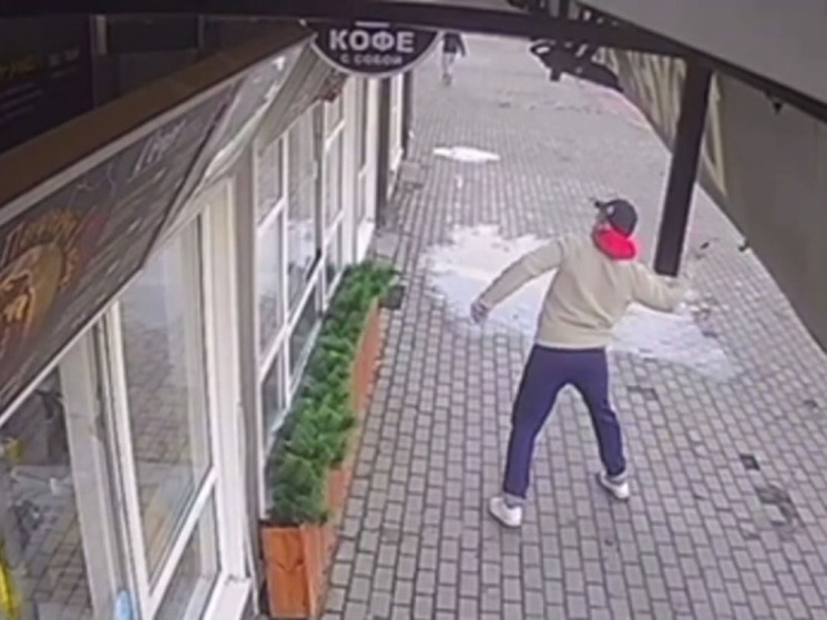 В Красногорске хулиган разгромил кафе, которое потом разграбили